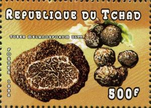 Colnect-3001-699-Tuber-melanosporum.jpg