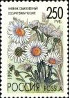 Colnect-2819-878-Leucanthemum-vulgare.jpg