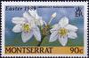 Colnect-3924-355-Eucharis-amazonica.jpg