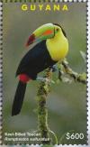 Colnect-4634-625-Keel-billed-Toucan----Ramphastos-sulfuratus.jpg