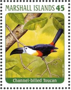 Colnect-3671-481-Channel-billed-Toucan%C2%A0%C2%A0%C2%A0%C2%A0Ramphastos-vitellinus.jpg