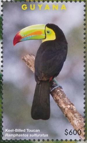 Colnect-4634-624-Keel-billed-Toucan----Ramphastos-sulfuratus.jpg