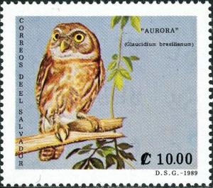 Colnect-5539-296-Glaucidium-brasilianum.jpg