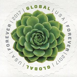 Colnect-5973-073-Green-Succulent-Global-Forever.jpg