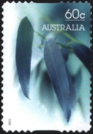 Colnect-6296-035-Eucalyptus-Leaves.jpg