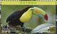 Colnect-4634-621-Keel-billed-Toucan----Ramphastos-sulfuratus.jpg