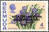 Colnect-3909-248--quot-Bermudiana-quot----overprinted.jpg