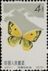 Colnect-487-246-Everest-Clouded-Yellow-Colias-berylia.jpg