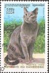 Colnect-2357-502-Russian-Blue-Felis-silvestris-catus.jpg