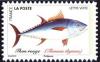 Colnect-5639-654-Atlantic-Bluefin-Tuna-Thunnus-thynnus.jpg