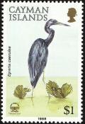 Colnect-2482-371-Little-Blue-Heron-Egretta-caerulea.jpg