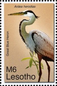 Colnect-1618-702-Great-Blue-Heron-Ardea-herodias.jpg