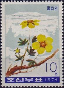 Colnect-3862-717-Shrubby-cinquefoil-Potentilla-fruticosa.jpg