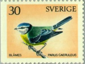 Colnect-163-967-Eurasian-Blue-Tit-Cyanistes-caeruleus.jpg