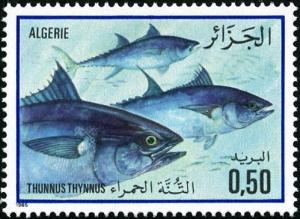 Colnect-2561-548-Atlantic-Bluefin-Thuna-Thunnus-thynnus.jpg