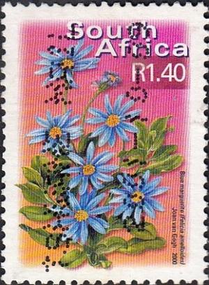 Colnect-3372-447-Blue-Marguerite-Felicia-amelloides.jpg