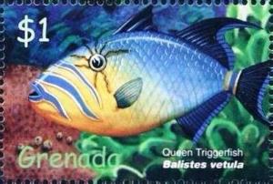 Colnect-4611-737-Queen-triggerfish.jpg