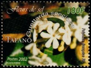 Colnect-5146-808-Guettarda-speciosa.jpg