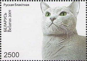 Colnect-609-002-Russian-Blue-Felis-silvestris-catus.jpg