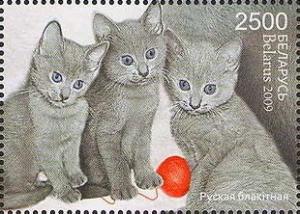 Colnect-609-004-Russian-Blue-Felis-silvestris-catus.jpg