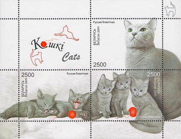 Colnect-609-001-Russian-Blue-Felis-silvestris-catus.jpg