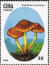 Colnect-2875-904-Sulphur-Tuft-Hypholoma-fasciculare.jpg