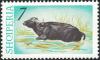 Colnect-5560-590-Water-Buffalo-Bubalus-bubalis.jpg