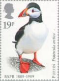 Colnect-122-599-Atlantic-Puffin-Fratercula-arctica.jpg