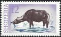 Colnect-5560-591-Water-Buffalo-Bubalus-bubalis.jpg