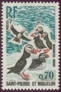 Colnect-875-197-Atlantic-Puffin-Fratercula-arctica.jpg