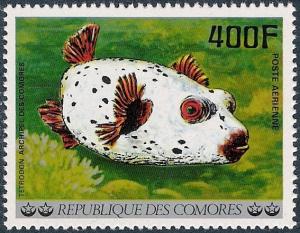 Colnect-4051-700-Blackspotted-Puffer-Arothron-nigropunctatus.jpg