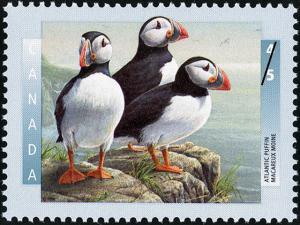 Colnect-588-475-Atlantic-Puffin-Fratercula-arctica.jpg