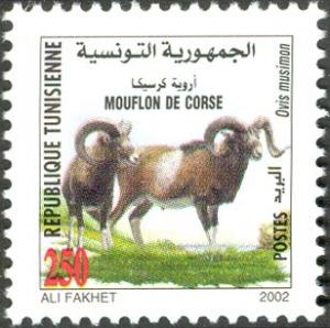 Colnect-6306-002-Mouflon-Ovis-musimon.jpg