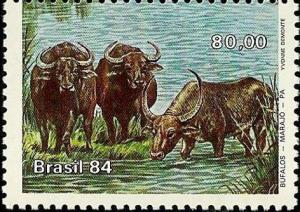 Colnect-718-186-Asian-Water-Buffalo-Bubalus-arnee-bubalis.jpg