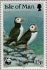 Colnect-124-737-Atlantic-Puffin-Fratercula-arctica.jpg