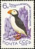 Colnect-729-149-Atlantic-Puffin-Fratercula-arctica.jpg