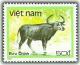 Colnect-1633-622-Water-Buffalo-Bubalus-bubalis.jpg