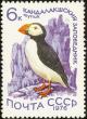 Colnect-729-149-Atlantic-Puffin-Fratercula-arctica.jpg