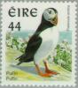 Colnect-129-364-Atlantic-Puffin-Fratercula-arctica.jpg