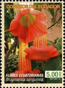 Colnect-3229-073-Brugmansia-sanguinea.jpg