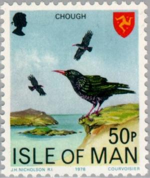 Colnect-124-369-Red-billed-Chough-Pyrrhocorax-pyrrhocorax-.jpg