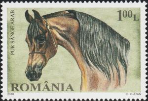 Colnect-6031-463-Arabian-Thoroughbred-Equus-ferus-caballus.jpg