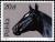 Colnect-1988-449-English-Thoroughbred-Equus-ferus-caballus.jpg