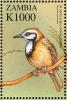 Colnect-3507-667-Greater-Necklaced-Laughingthrush%C2%A0-%C2%A0Garrulax-pectoralis.jpg