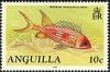 Colnect-1931-233-Longspine-Squirrelfish-Holocentrus-rufus.jpg