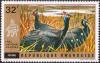 Colnect-2620-433-Helmeted-Guineafowl-Numida-meleagris.jpg