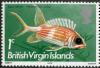 Colnect-3068-309-Longspine-Squirrelfish-Holocentrus-rufus.jpg