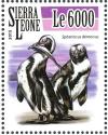 Colnect-3566-025-African-Penguin%C2%A0-%C2%A0Spheniscus-demersus.jpg