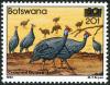 Colnect-5250-717-Helmeted-Guineafowl-Numida-meleagris.jpg