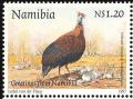 Colnect-2482-726-Helmeted-Guineafowl-Numida-meleagris.jpg